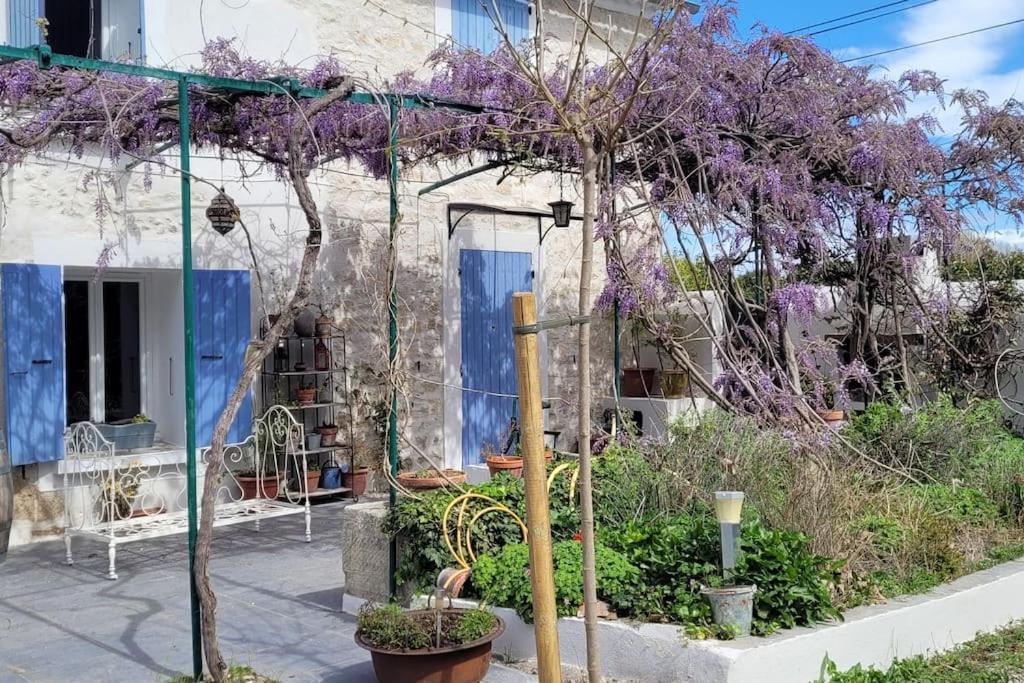 Location Appartement Dans Mas Provencal Monteux Exterior photo