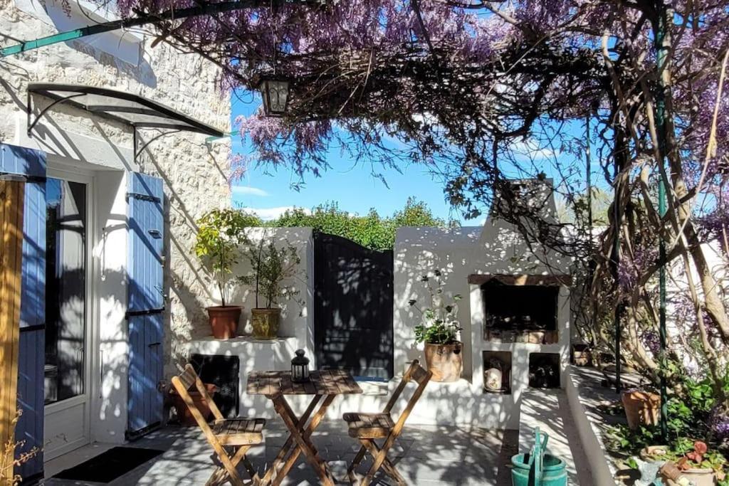 Location Appartement Dans Mas Provencal Monteux Exterior photo