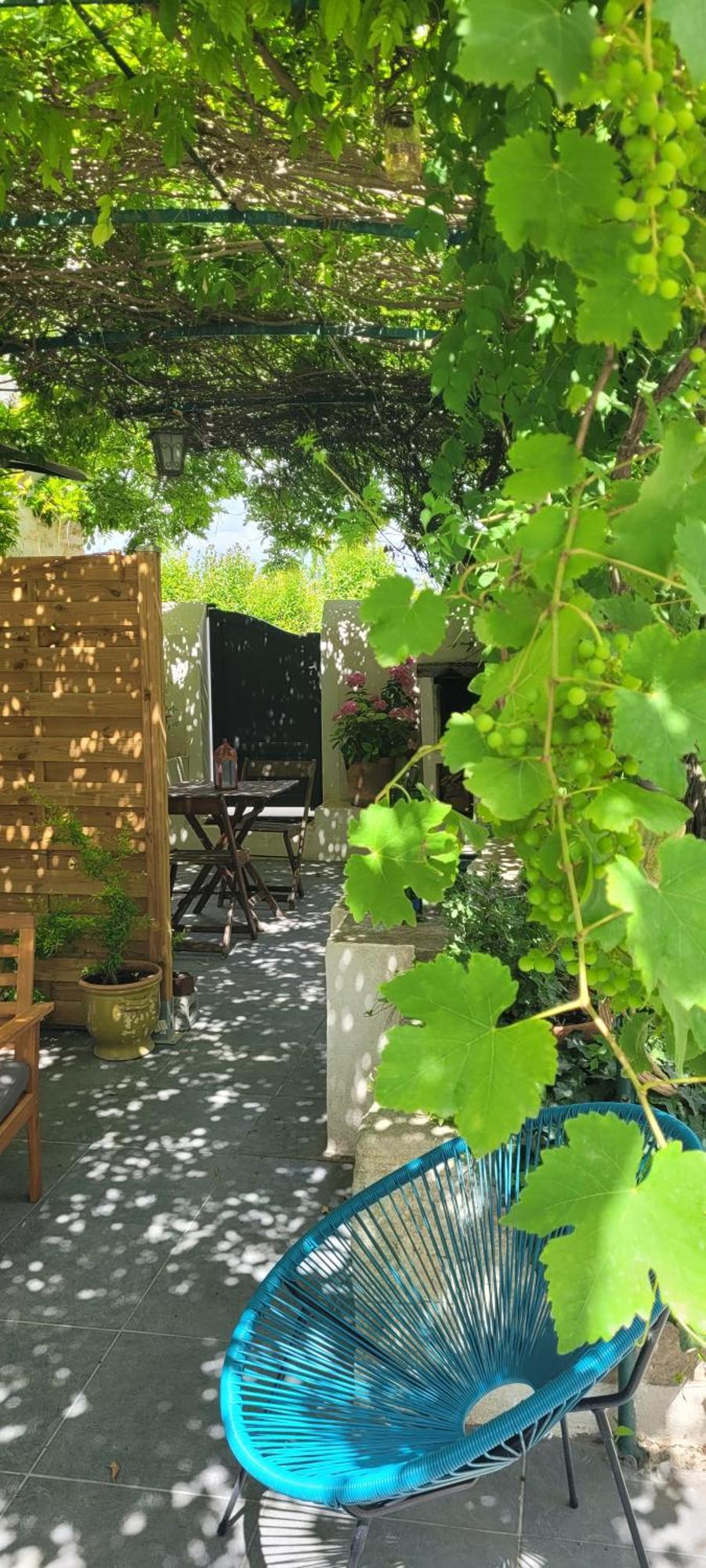 Location Appartement Dans Mas Provencal Monteux Exterior photo